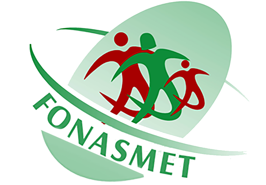 Logo Fonasmet 